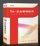 T6-Iܛ